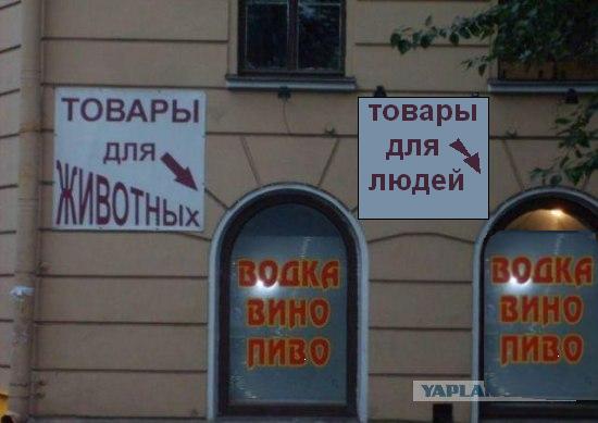 Товары для животных