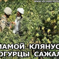 Гнобят, а потом кричат, что мужиков не осталось: психолог — о том, почему мужчина «не должен»