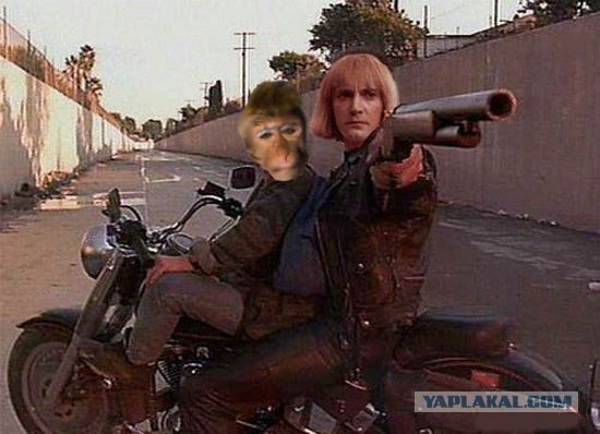 Проспал экзамен!