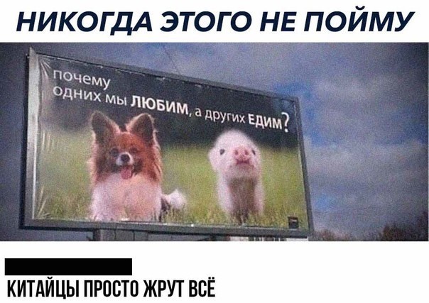 Картинки с надписями и всякие жизненные фразы