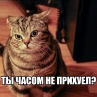 Что есть современный брак и почему это не семья