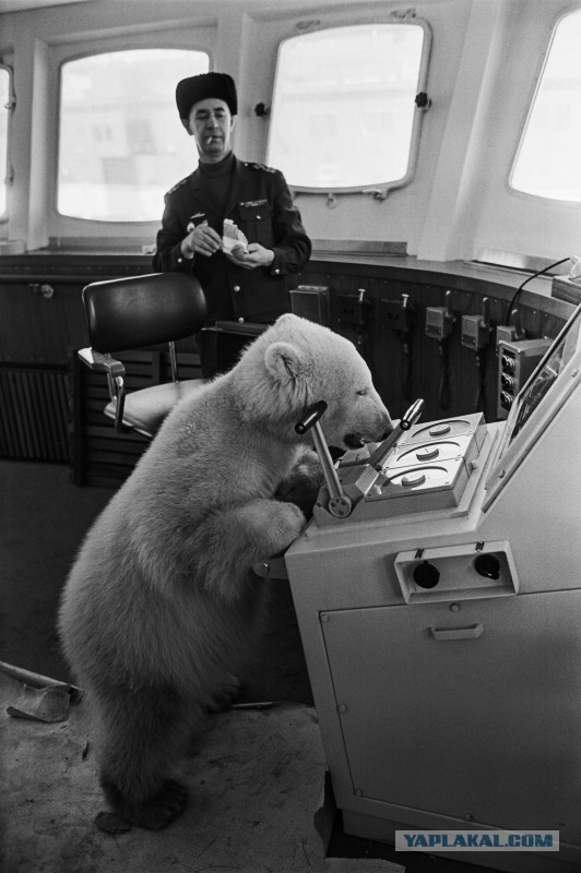 Интересные и редкие ретро-фотографии 19.04.21