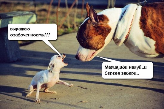 Глава МИД Чехии в беседе с послом России потребовал вернуть всех высланных дипломатов