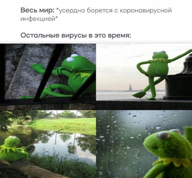 Куда в России делся грипп?