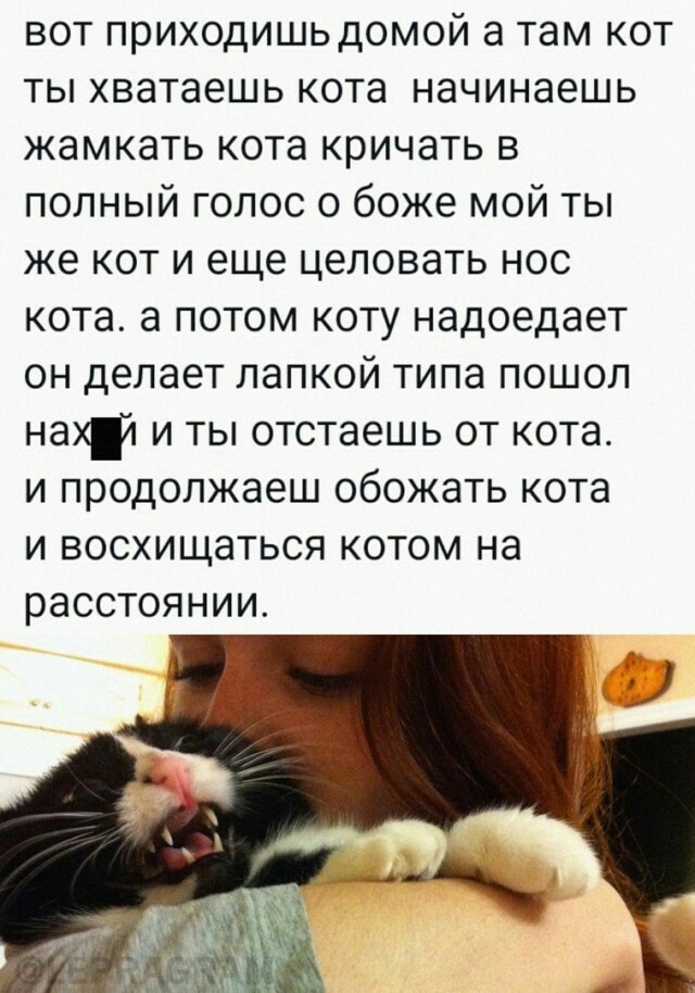 Прикольные и просто красивые картинки 04.08.2021