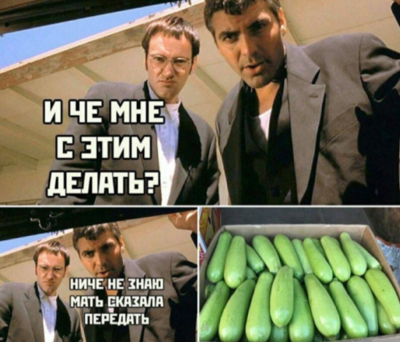 Весёлый полтишок 10.08