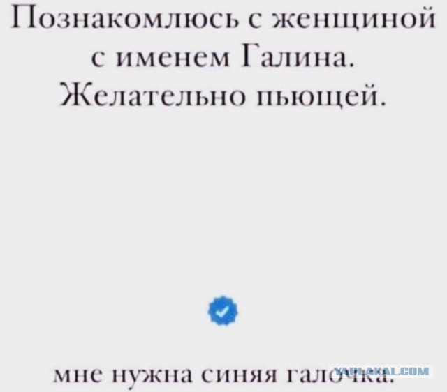 Всяческие картинки 26.11.2021