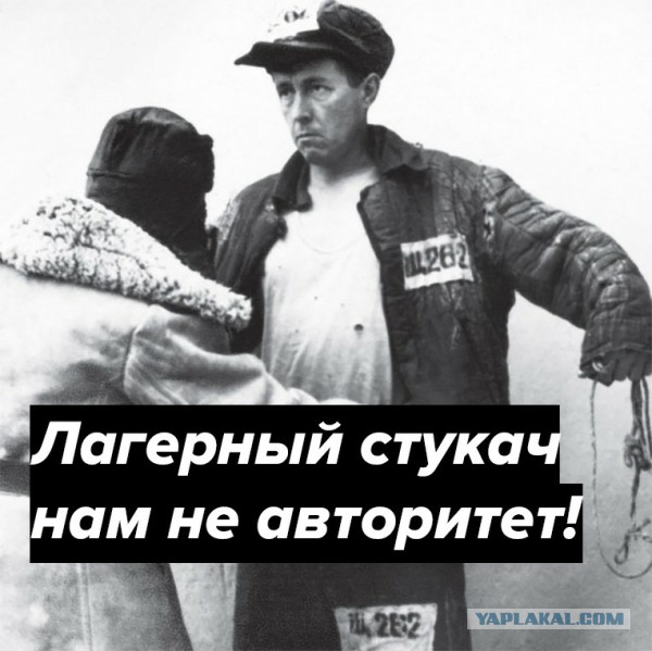 Россияне смогут штрафовать друг друга за нарушение ПДД 