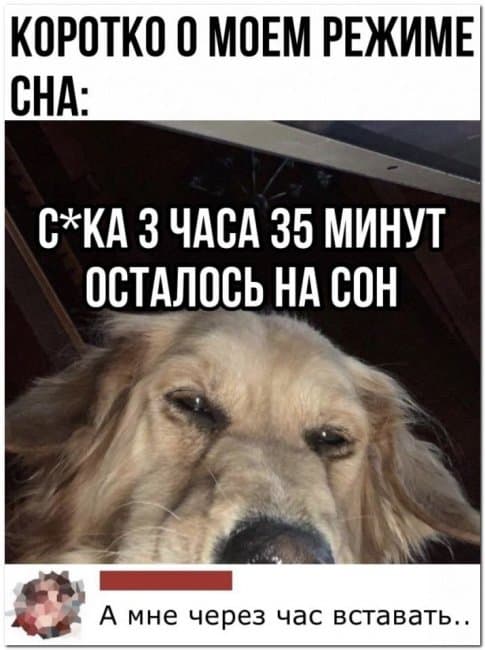 Баянисто-небаянистый юмор 31.01.22