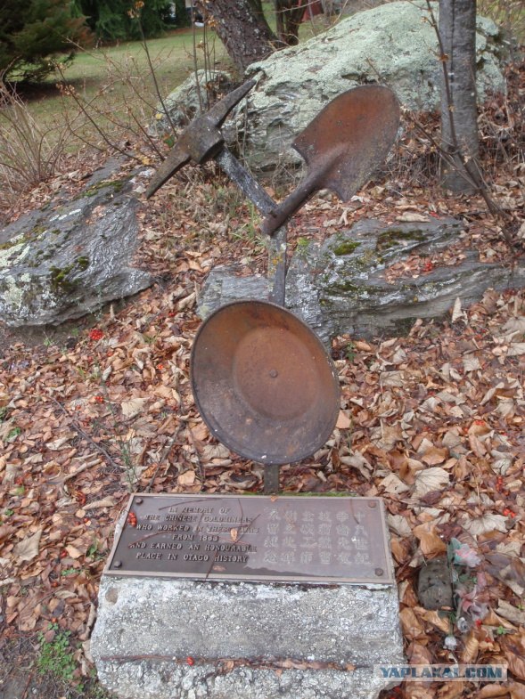 На машине по Новой Зеландии