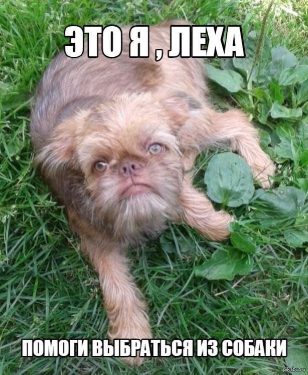 Кто это?