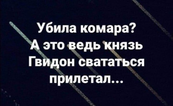 Что она несет?