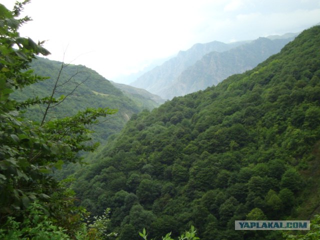 Кавказ-2012