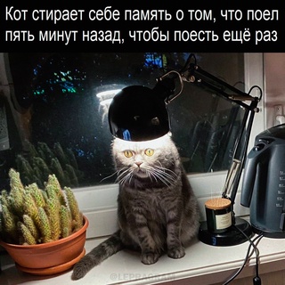 Немного картинок для настроения - 112
