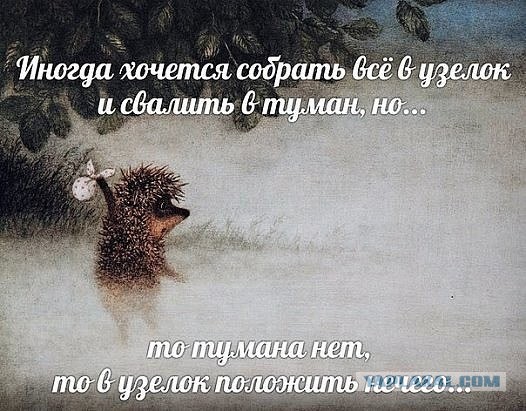 Ежик псих. В узелок положить нечего. Собрать узелок и уйти в туман. Иногда хочется собрать всё в узелок. Ежик в тумане цитаты.