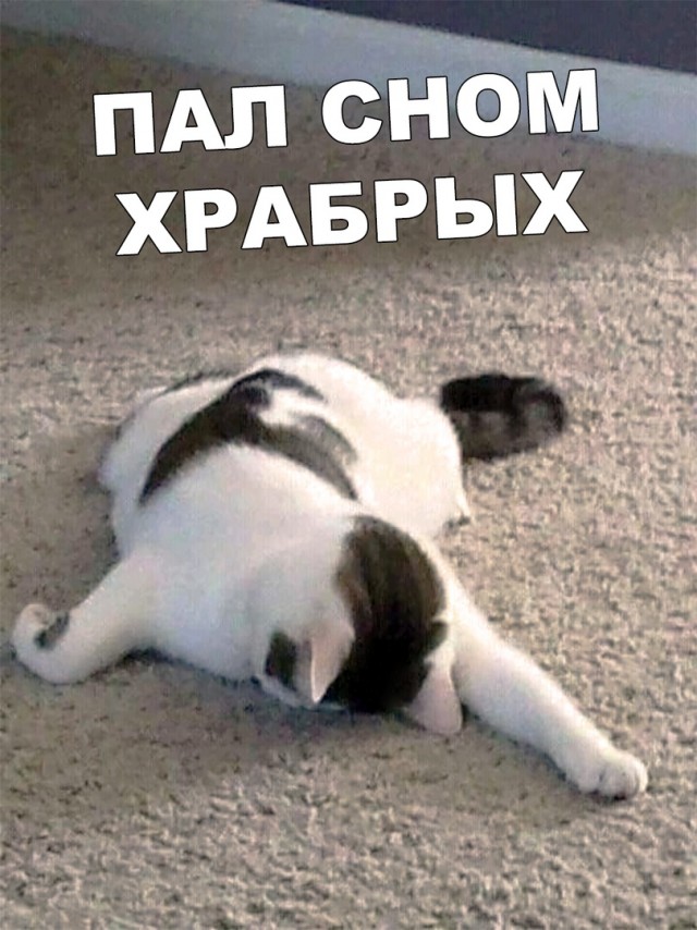 Картинки хз