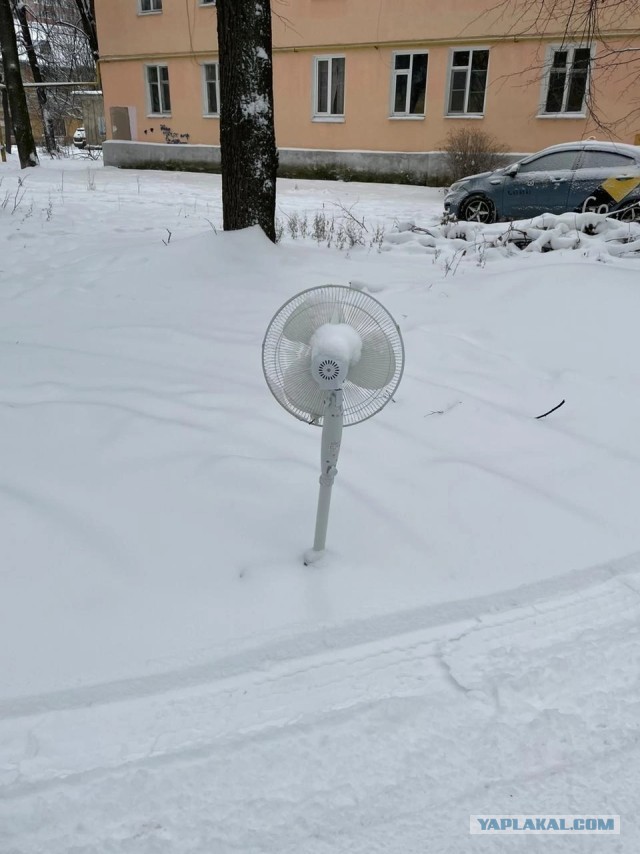 Чья беха?