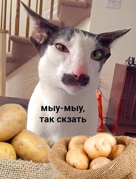 Налетай! Халявные бойаны!