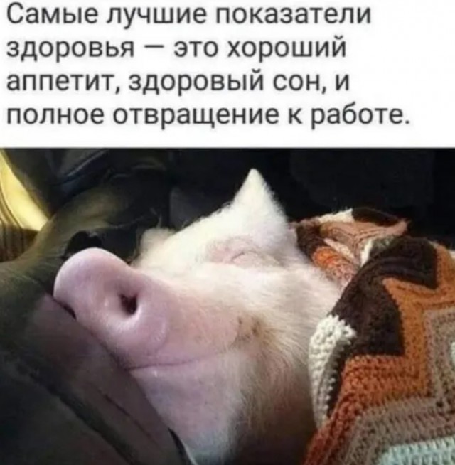 Немного картинок для настроения - 133