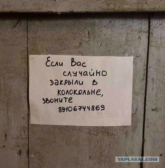 Нуштош 11.06.2023