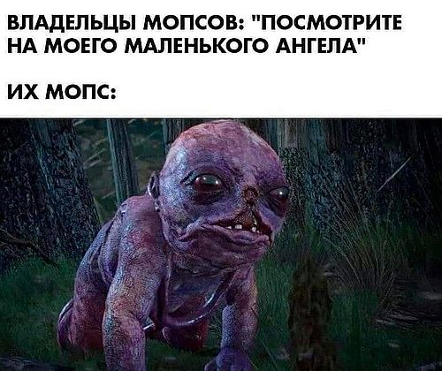 Юморески в JPG