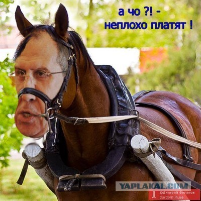 «Вообще никакого топлива нет»: на заправках «Газпромнефти» в Омске пропали бензин и солярка