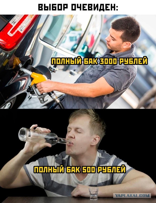 Всего понемногу. От 29.01.24