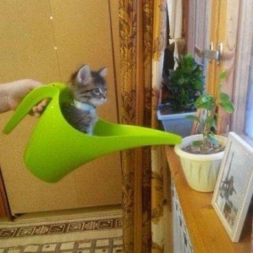С добрым утром