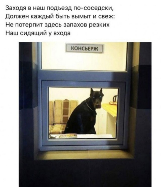 Завалялось тут случайно немного забавных картинок в субботу