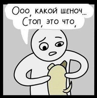 Новый вид мошенничества