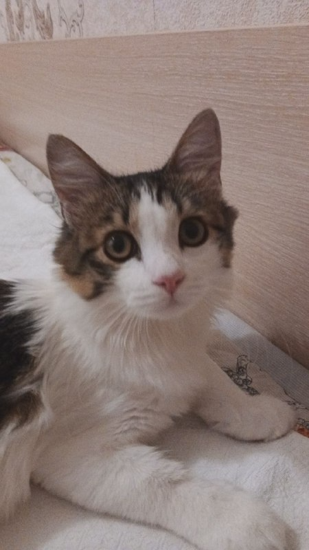 В Петропавловске-Камчатском вторник.