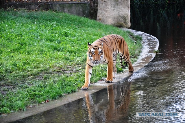 Наводнение в Чехии