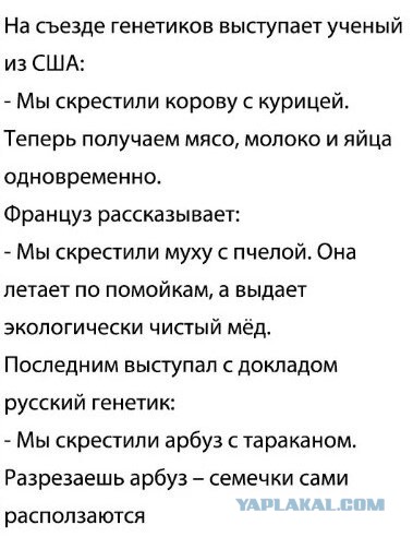 Ничего особенного, просто рабочий день человека, который работает на тараканьей ферме.