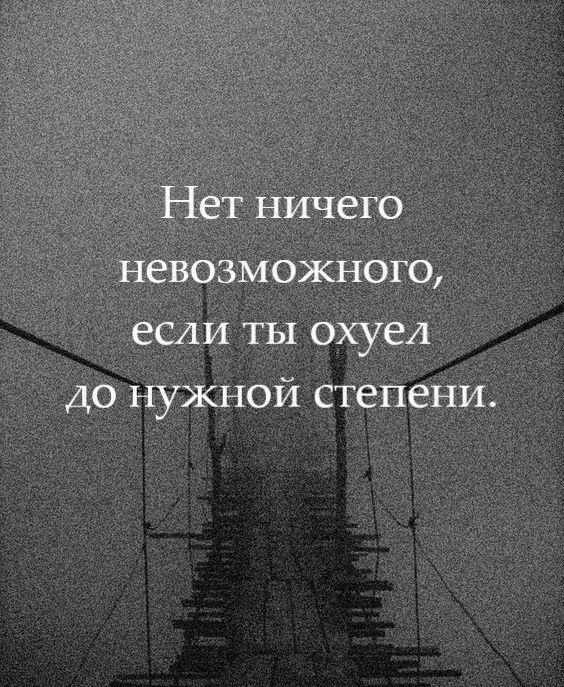 Прикольные и просто красивые картинки 31.12.2024