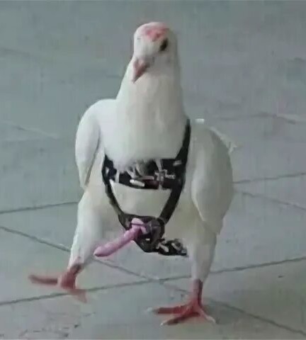 Бывает⁠⁠