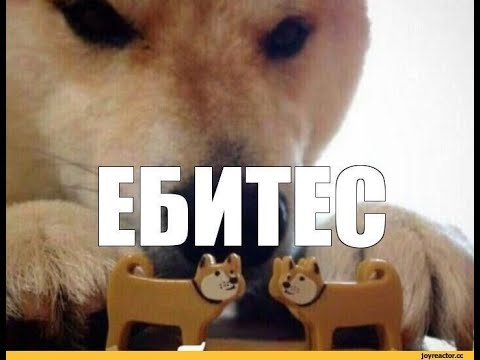 "Дагестанец никогда не кидает людей!"