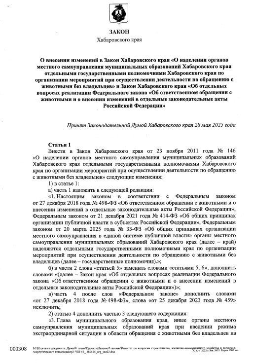 Эвтаназию бродячих собак разрешили в Хабаровском крае после многочисленных нападений на людей