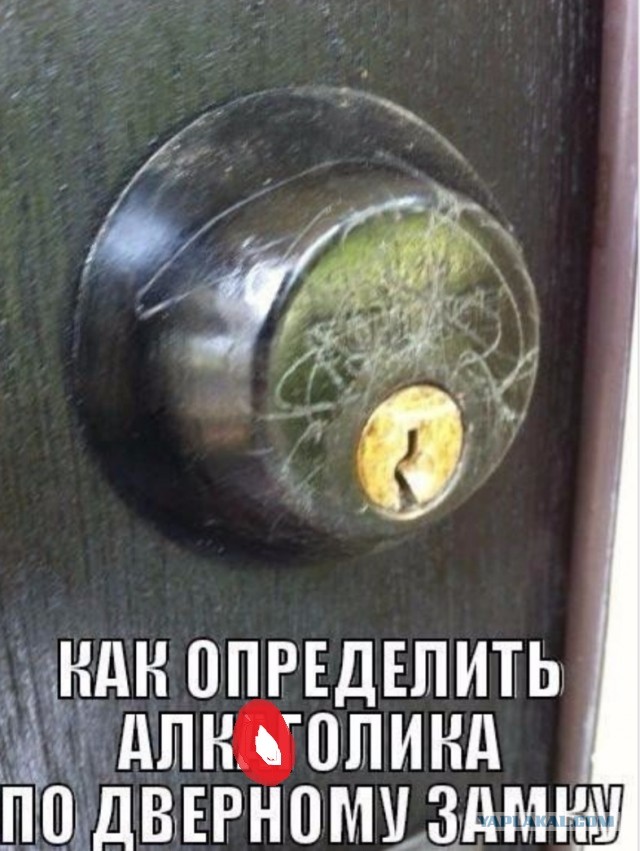 Так себе картинки 21.10.25