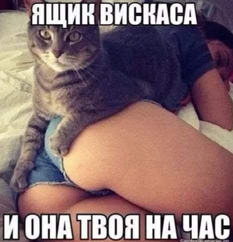 Картинки для деградации 84 (разной степени свежести)