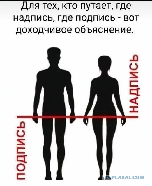 Картиночки, баянчики в начале мая
