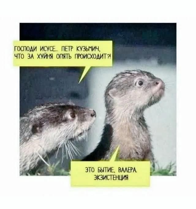 Маленькая пятница