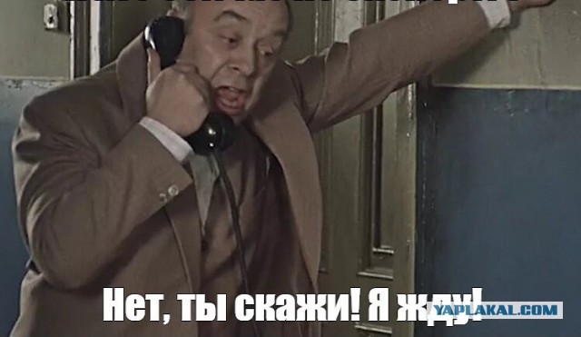 Собачатникам разрешили проверять водительское и другие документы?