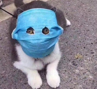 *БАЯН*Самое искусное ограбление
