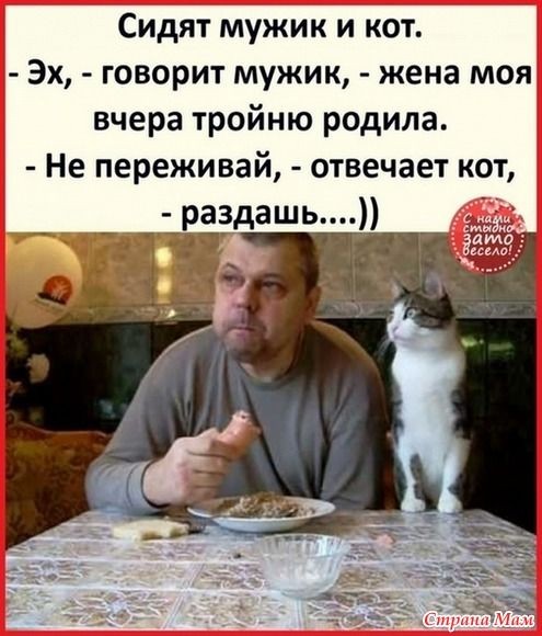 Так себе картинки 24.07.26