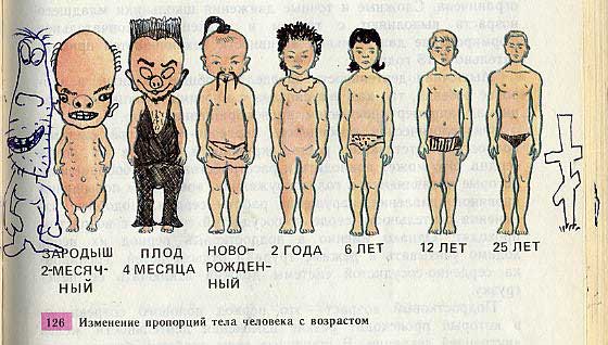 Разрисованные учебники (150 рисунков)