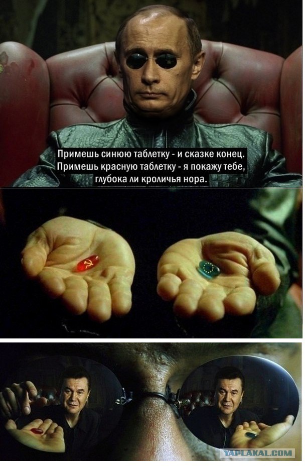 Янукович провел краш-тест Европы