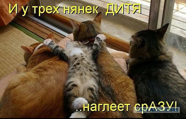 Не про олимпиаду