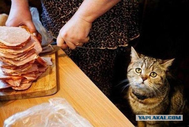 Дерзкие и брутальные