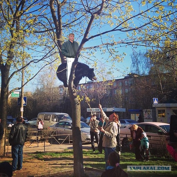 Обычный день в городе Фрязино