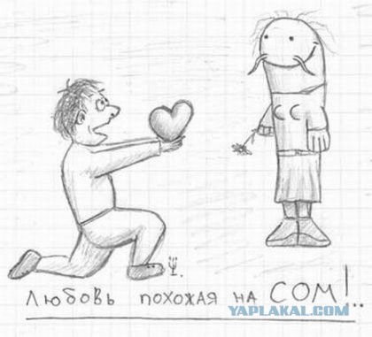 Неологизмы